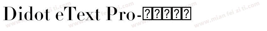 Didot eText Pro字体转换